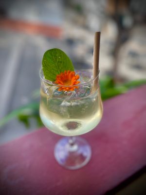 Special cocktail 
Watermelon Sangria
 #restaurants #restaurantesmadeira #restaurantsmadeira #restaurantsfunchal #restaurant #bestrestaurants #funchaloldtown #vegie  at Gavino Restaurante Bar in Funchal