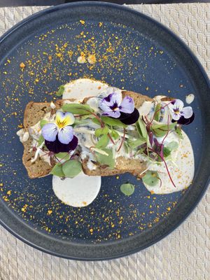 Saitan with mushroom sauce  at Gavino Restaurante Bar in Funchal