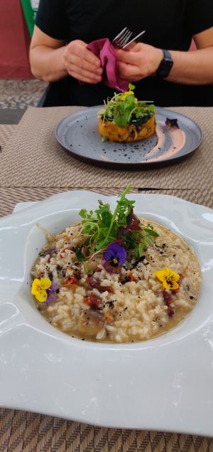  at Gavino Restaurante Bar in Funchal