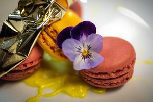 Os nossos pratos são repletos de cor. 

#gavino #gavinorestaurantebar #gavinobar #bar #restaurant #restaurante #restaurantguru2019 #restaurantguru2020 #restaurantguru2021 #resta at Gavino Restaurante Bar in Funchal