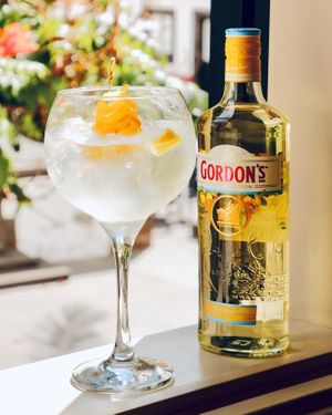 Para dias frescos, um Gin cítrico. 

#gavino #gavinorestaurantebar #gavinorestaurante #restaurante #restaurantguru2019 #restaurantguru2020 #restaurantguru2021 #restaurantguru202 at Gavino Restaurante Bar in Funchal