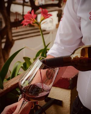 Hora perfeita para um belo copo de vinho. Servidos? 🍷
#gavinorestaurantebar #gavinorestaurante #wine #vinho #funchalrestaurants #funchaloldtown #funchalcity #madeiraisland at Gavino Restaurante Bar in Funchal