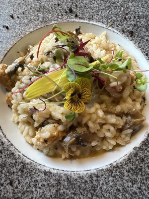 Risotto  at Gavino Restaurante Bar in Funchal