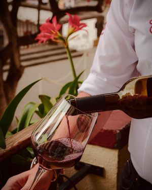 Hora perfeita para um belo copo de vinho. Servidos? 🍷
#gavinorestaurantebar #gavinorestaurante #wine #vinho #funchalrestaurants #funchaloldtown #funchalcity #madeiraisland at Gavino Restaurante Bar in Funchal