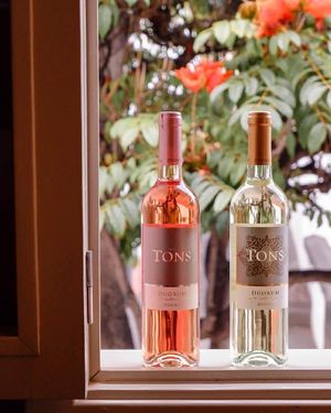 Altas temperaturas pedem bebidas refrescantes. Temos uma perfeita seleção de vinhos à vossa espera! 🥰
#gavinorestaurantebar #gavinorestaurante #funchaloldtown #funchalrestau at Gavino Restaurante Bar in Funchal