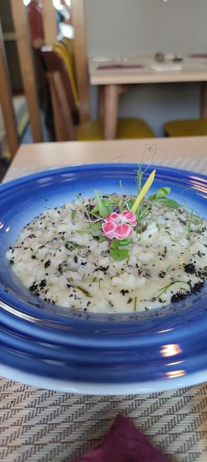 Risotto mit Fenchel und Kräutern at Gavino Restaurante Bar in Funchal