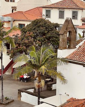 Muitas novidades e muitos sabores à sua espera esta semana! Prato do dia + bebida + café = 6,95€
#gavinorestaurantebar #gavinorestaurante #funchalcity #funchaloldtown #madeira at Gavino Restaurante Bar in Funchal