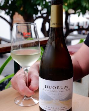 Para acompanhar o jantar de hoje, um refrescante vinho da nossa seleção 💛 #gavinorestaurantebar #gavinorestaurante #bar #funchaloldtown #madeiraisland at Gavino Restaurante Bar in Funchal