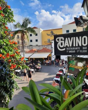  at Gavino Restaurante Bar in Funchal