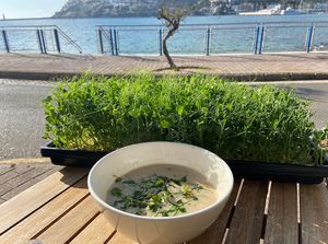 They REALLY love their microgreens😉 at Superfood.Garden in Mallorca