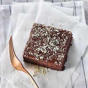 Brownie at Copper Branch in Oakville