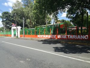 Can't miss it at Ananda in Managua