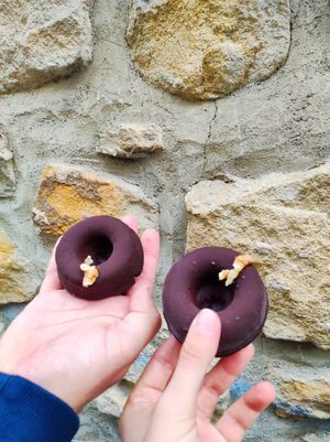 Donut at Edamame Vegan Shop in Zarautz