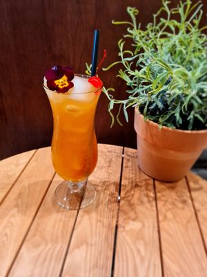 Sex on the beach at Cafe Goos in Hoorn