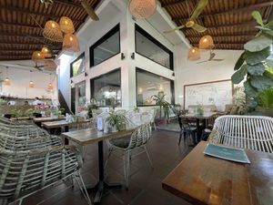 Inside  at Backyard Cafe - Street 240 in Phnom Penh
