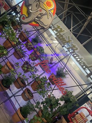   at Dharma Southern Kitchen in Sanford