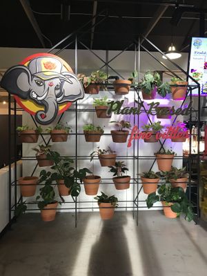 Dixie Dharma  at Dharma Southern Kitchen in Sanford