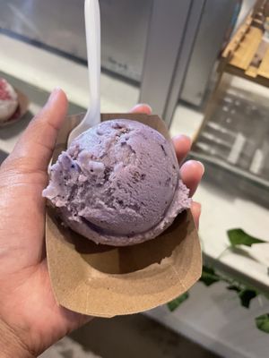 blueberry lavender  at The Greenery Creamery in Sanford