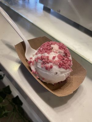 mint stracciatella with hibiscus crystals  at The Greenery Creamery in Sanford