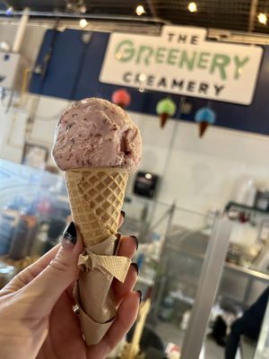 Vegan scoop with sugar cone   at The Greenery Creamery in Sanford