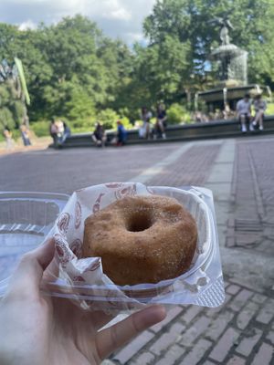 Cinnamon sugar donut  at Dough Doughnuts - Flatiron in New York City