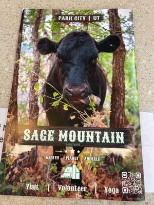 Staff showed us this magazine while telling us about Sage Mountain Sanctuary for farm animals.  There's a music/fundraiser there Aug 26, 2023. https://www.sagemtn.org/ at City Cakes and Cafe in Salt Lake City