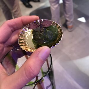 Seaweed, wakame and rice pops at Hofke van Bazel in Kruibeke