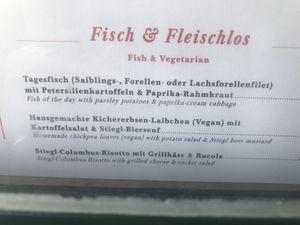One vegan dish. at Stiegl-Keller in Salzburg