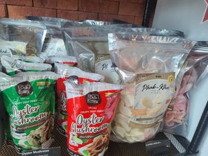  at VIBE Coffee & Plant-Based Food in Bangkok