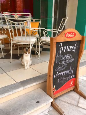 Front view  at Let Them Eat Cake in Paphos