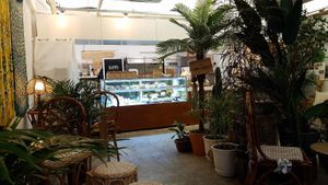 Interior of location - view towards the counter at Cafe Turtle 카페 거북이 in Seoul