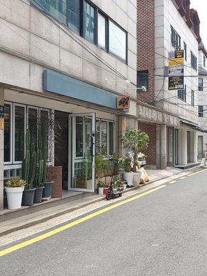 Look for turtle at Cafe Turtle 카페 거북이 in Seoul