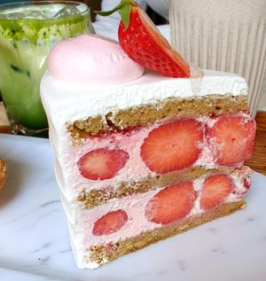  at Cafe Turtle 카페 거북이 in Seoul