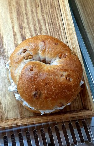  at Cafe Turtle 카페 거북이 in Seoul