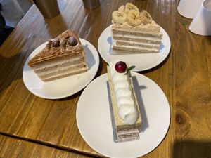   at Cafe Turtle 카페 거북이 in Seoul