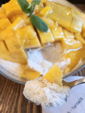 Mango Bingsu - close-up at Cafe Turtle 카페 거북이 in Seoul