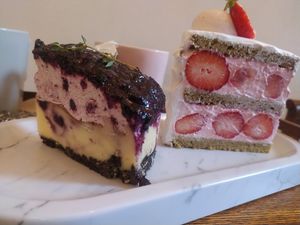 Blueberry cheesecake at Cafe Turtle 카페 거북이 in Seoul