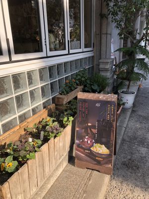 Entrance  at Cafe Turtle 카페 거북이 in Seoul