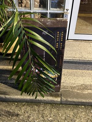   at Cafe Turtle 카페 거북이 in Seoul