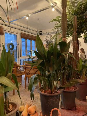 Interior  at Cafe Turtle 카페 거북이 in Seoul