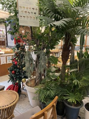 Christmas decorations   at Cafe Turtle 카페 거북이 in Seoul