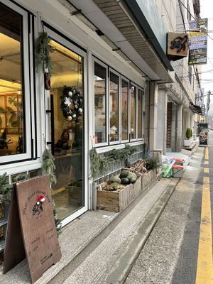 Outside  at Cafe Turtle 카페 거북이 in Seoul
