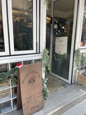Outside  at Cafe Turtle 카페 거북이 in Seoul
