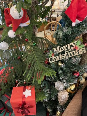   at Cafe Turtle 카페 거북이 in Seoul