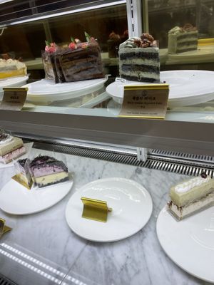   at Cafe Turtle 카페 거북이 in Seoul