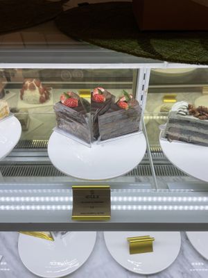   at Cafe Turtle 카페 거북이 in Seoul