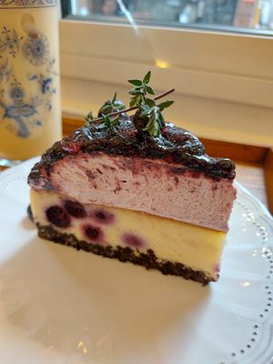  at Cafe Turtle 카페 거북이 in Seoul