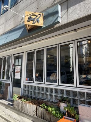   at Cafe Turtle 카페 거북이 in Seoul