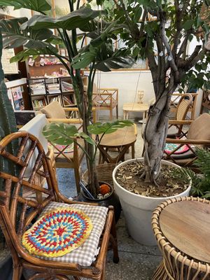   at Cafe Turtle 카페 거북이 in Seoul