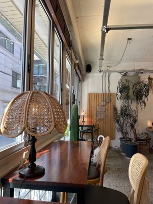   at Cafe Turtle 카페 거북이 in Seoul